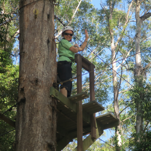 High Ropes